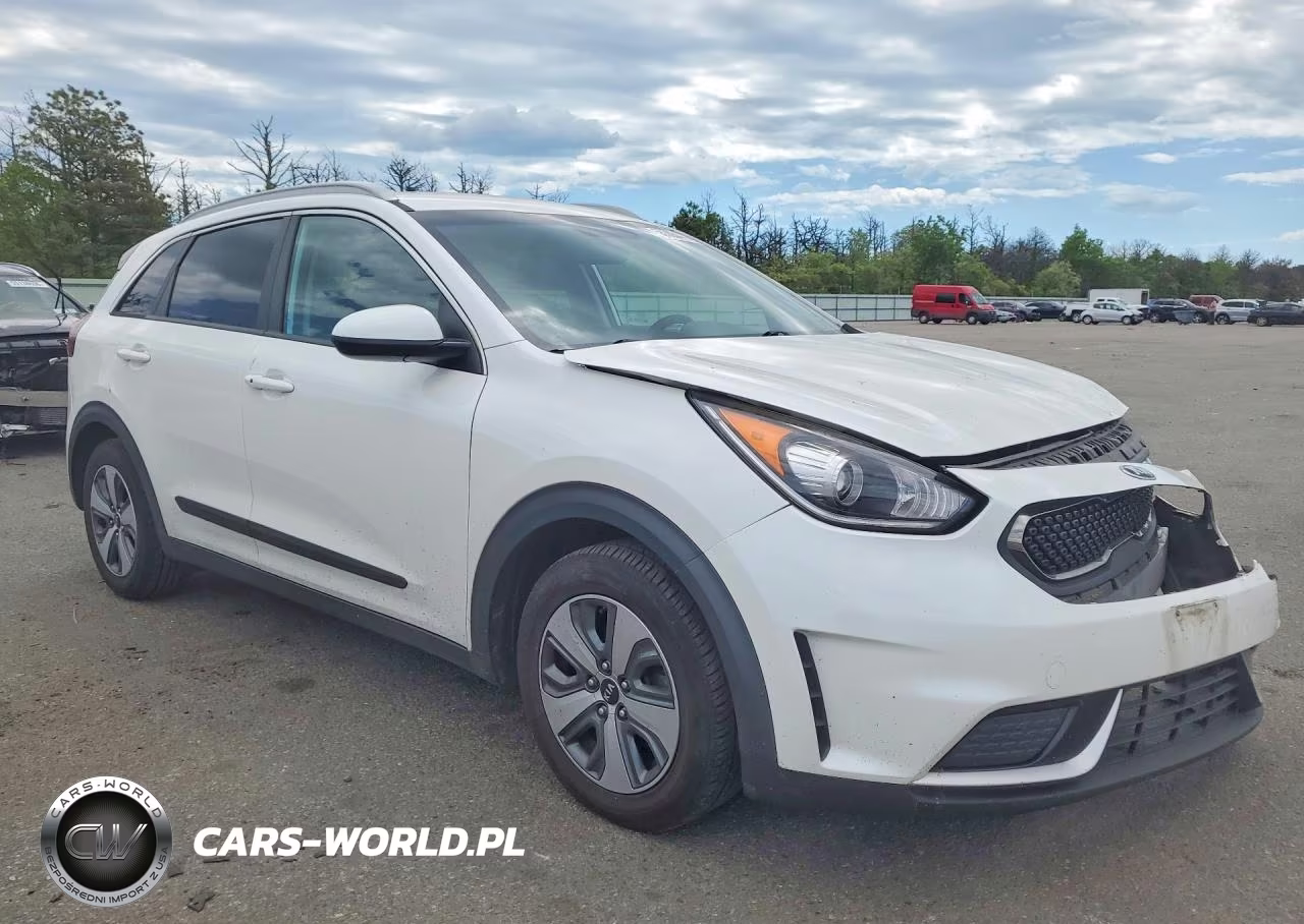2019 Kia Niro Lx VIN:KNDCB3LC0K5218427 - 4