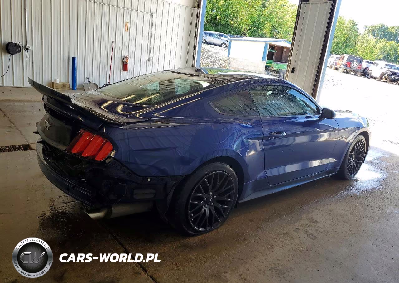 2016 Ford Mustang Gt VIN:1FA6P8CF4G5215677 - 3