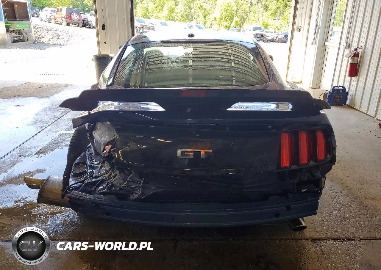 2016 Ford Mustang Gt VIN:1FA6P8CF4G5215677 - 6