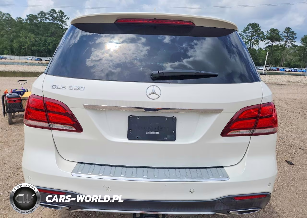 2017 Mercedes-Benz Gle 350 VIN:4JGDA5JB3HA905894 - 6