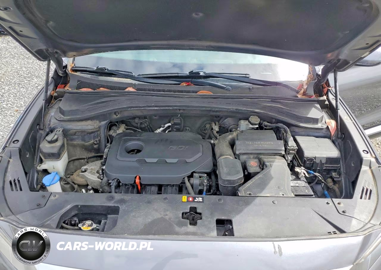 2019 Hyundai Santa Fe Sel VIN:5NMS3CAD6KH037964 - 12