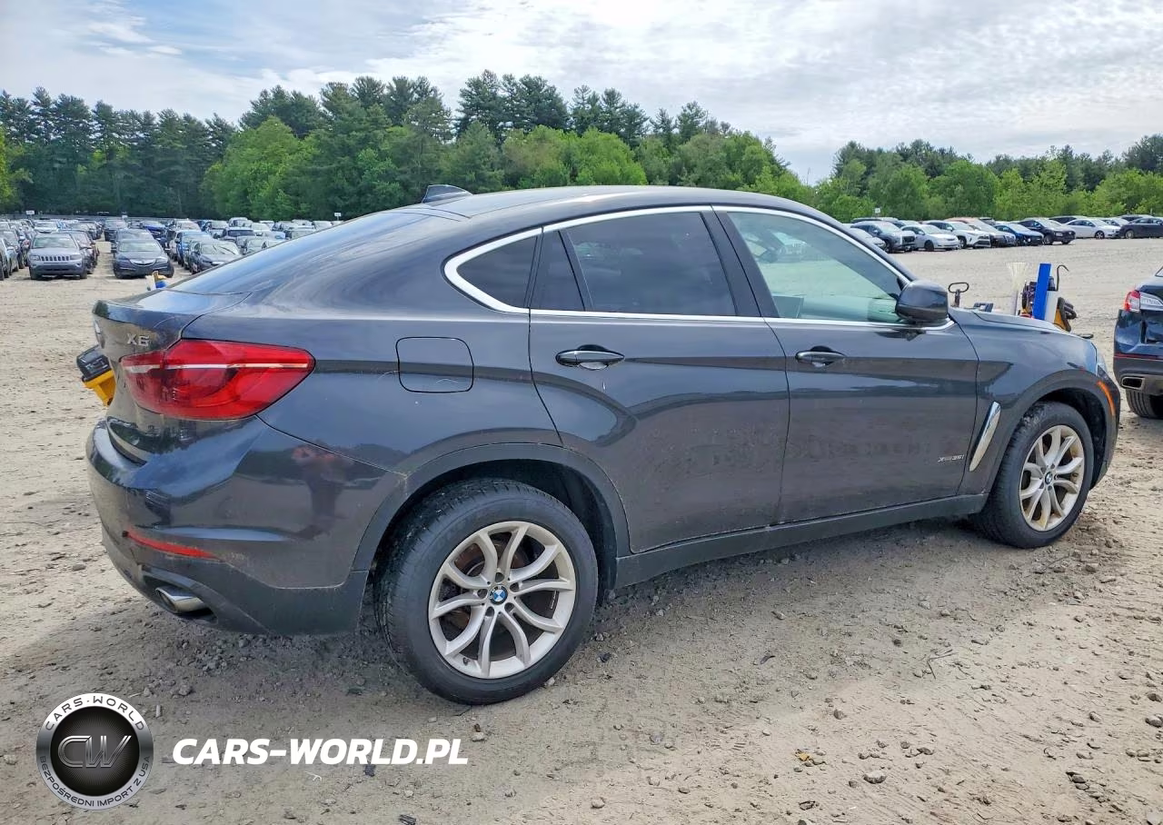 2015 BMW X6 xDrive35I VIN:5UXKU2C5XF0N76668 - 3