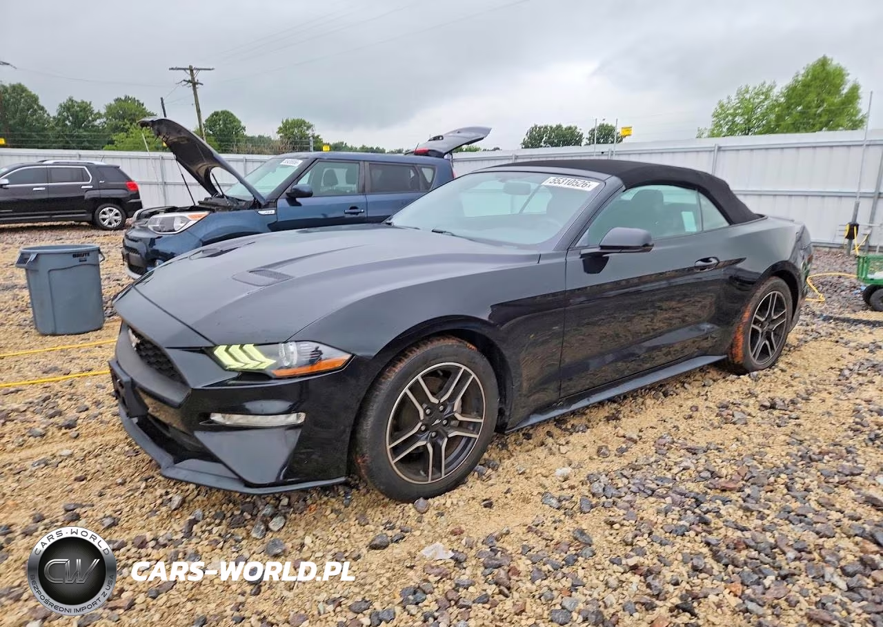 2019 Ford Mustang