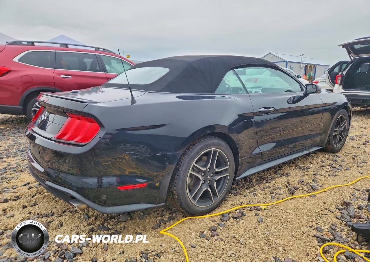 2019 Ford Mustang VIN:1FATP8UH2K5104721 - 3