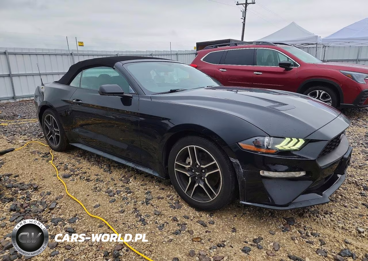 2019 Ford Mustang VIN:1FATP8UH2K5104721 - 4