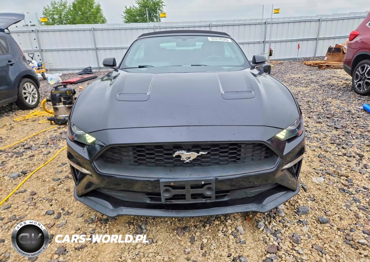 2019 Ford Mustang VIN:1FATP8UH2K5104721 - 5