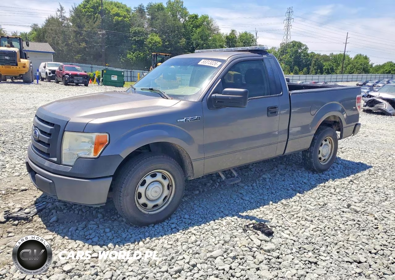 2010 Ford F150