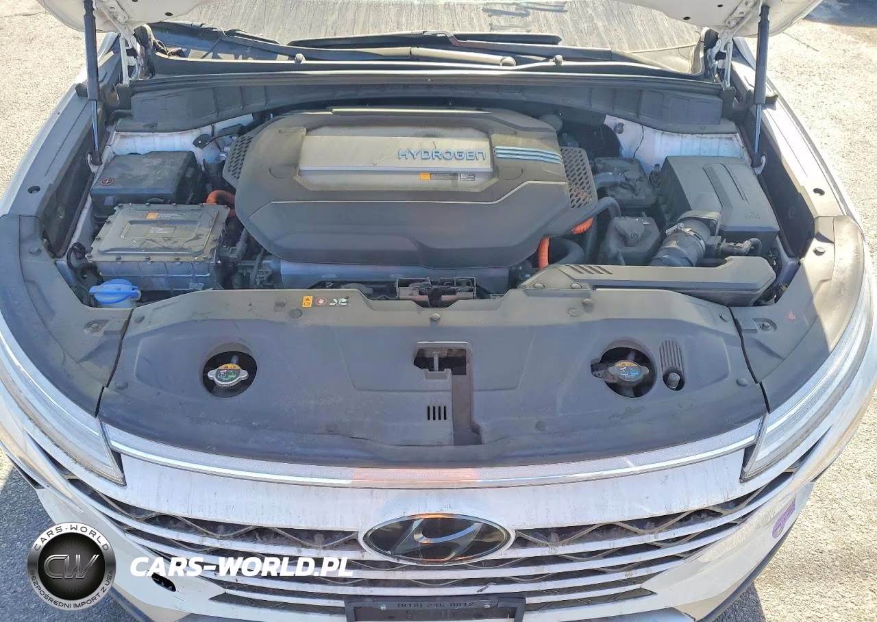 2019 Hyundai Nexo Blue VIN:KM8J74A62KU001491 - 12