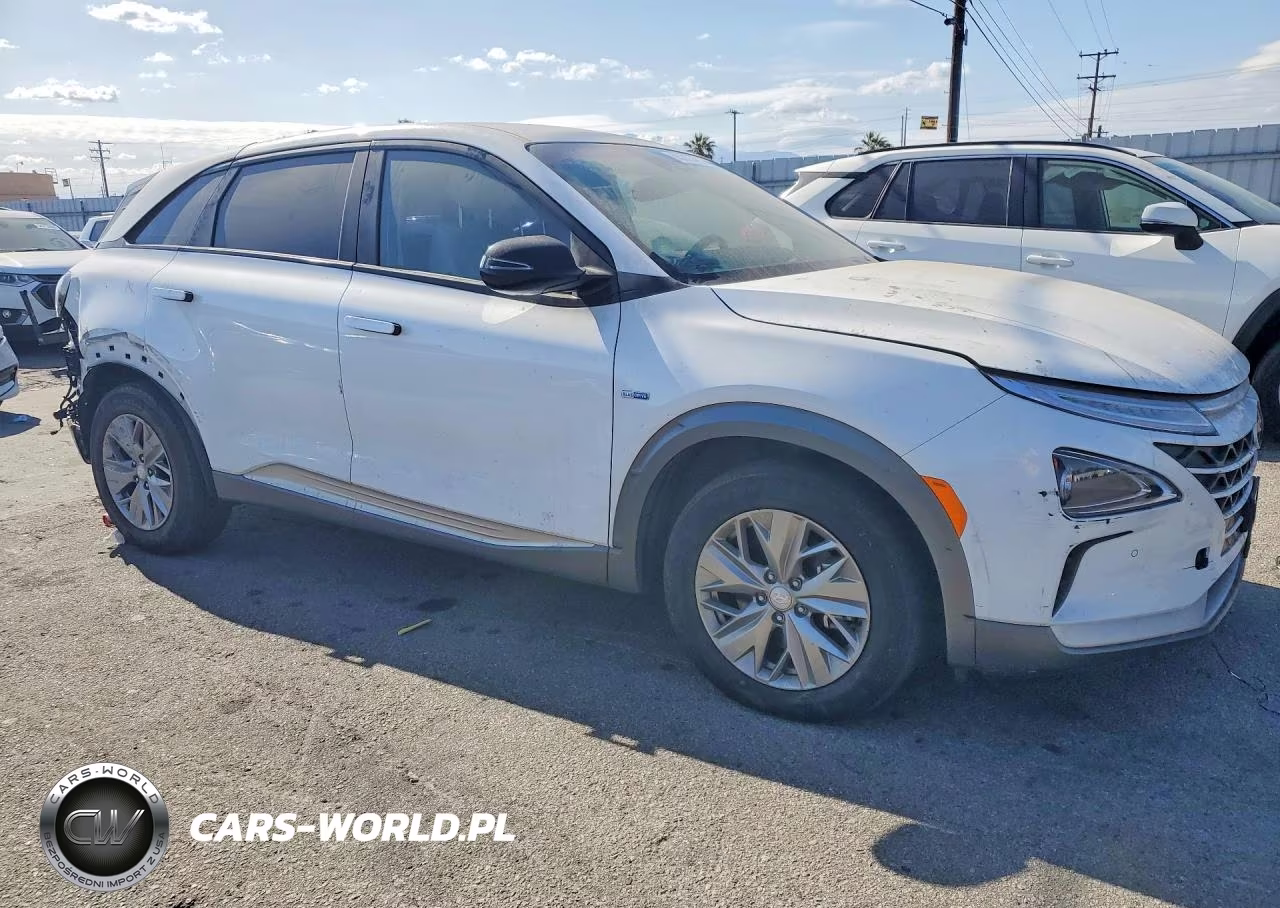 2019 Hyundai Nexo Blue VIN:KM8J74A62KU001491 - 4