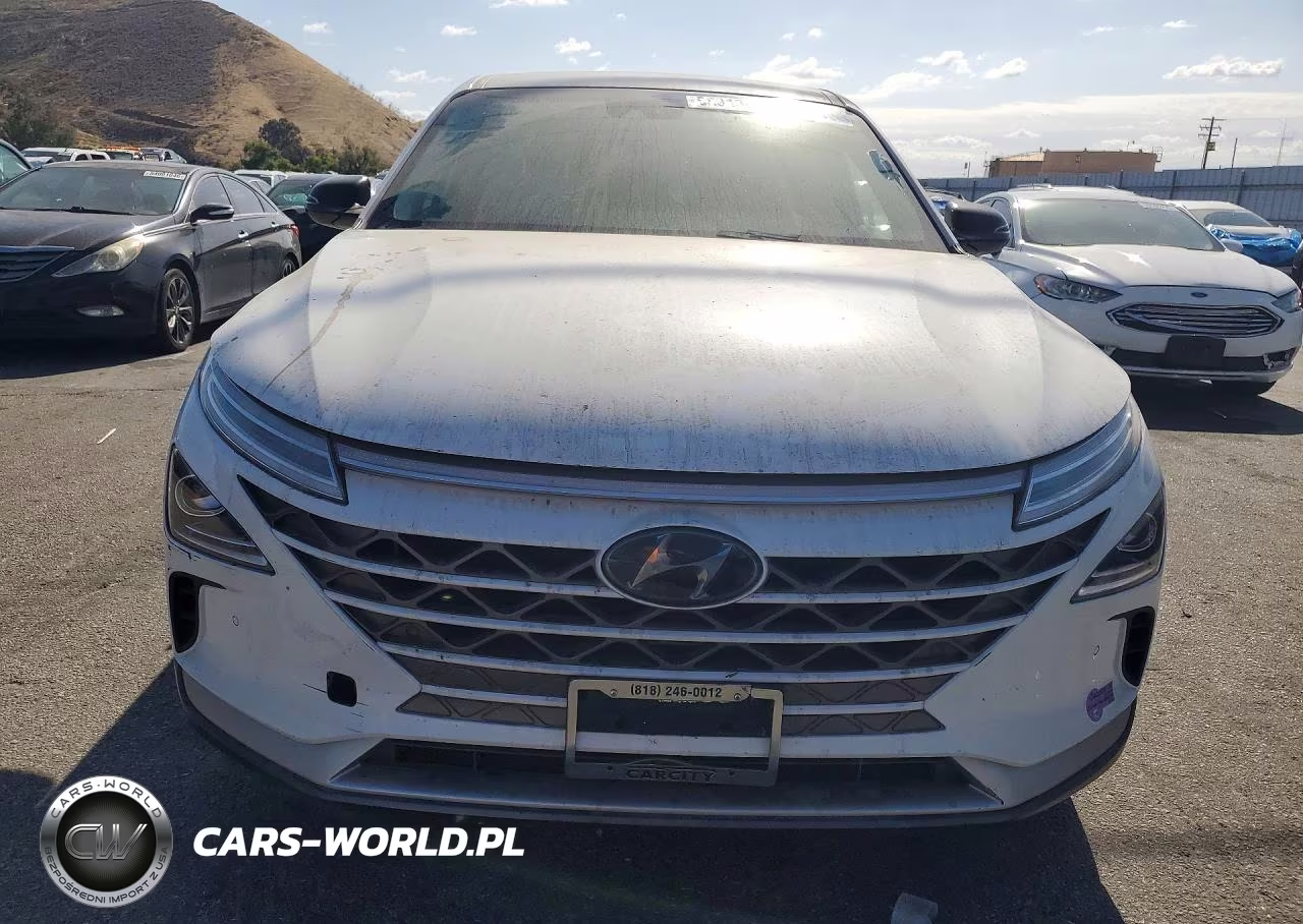 2019 Hyundai Nexo Blue VIN:KM8J74A62KU001491 - 5