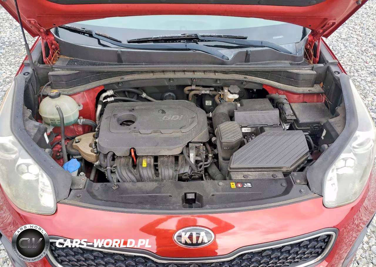 2017 Kia Sportage Lx VIN:KNDPM3AC2H7073886 - 11