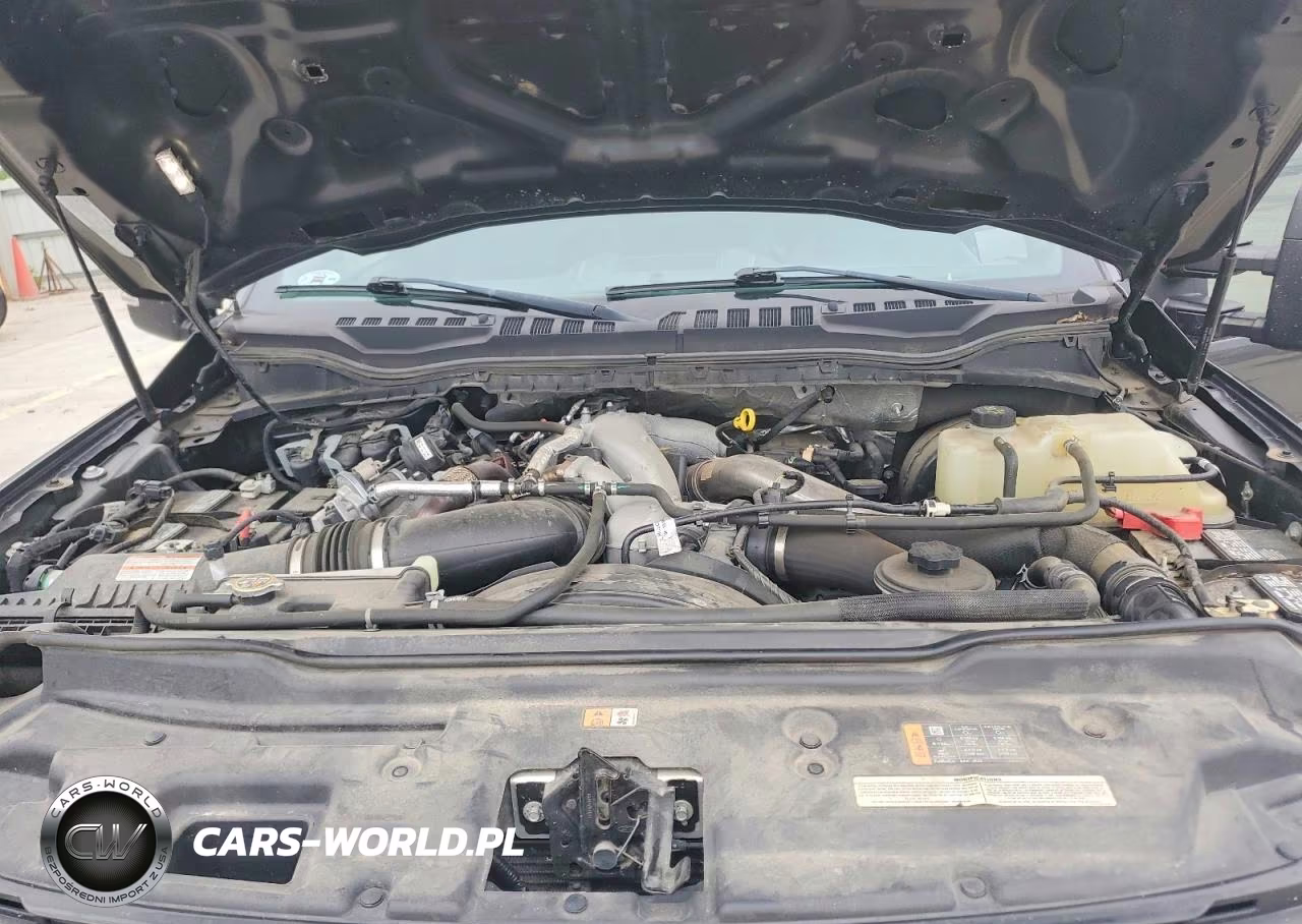 2020 Ford F350 Super Duty VIN:1FT8W3BTXLEE17546 - 11