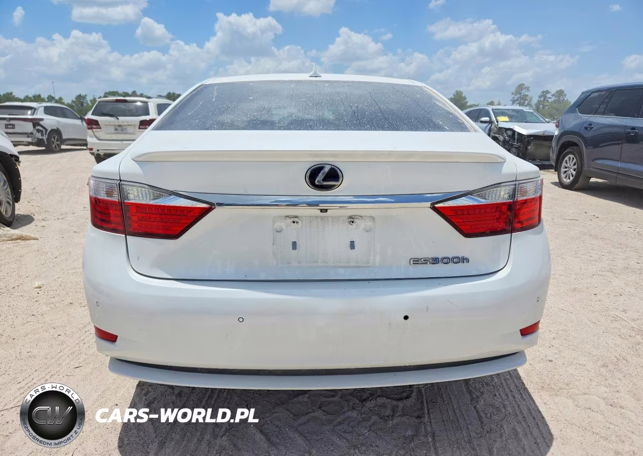 2013 Lexus Es 300H VIN:JTHBW1GG9D2019817 - 6