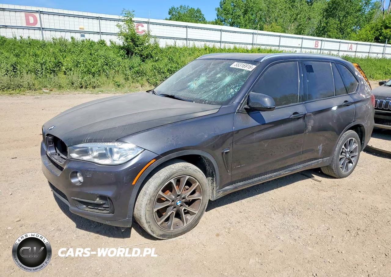 2014 BMW X5 xDrive35I – zdjęcie 1 z 13