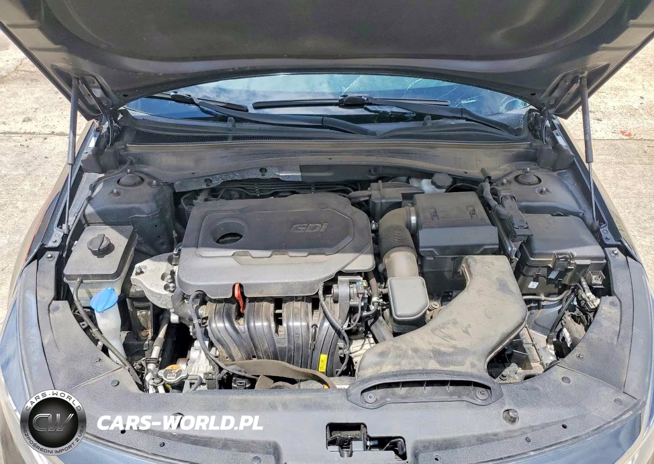 2020 Kia Optima Special Edition VIN:5XXGT4L31LG435227 - 11