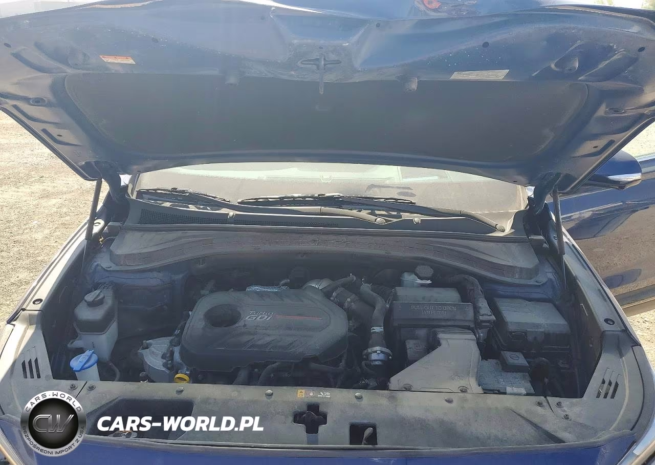 2020 Hyundai Santa Fe Limited 2.0T VIN:5NMS5CAA9LH241143 - 12