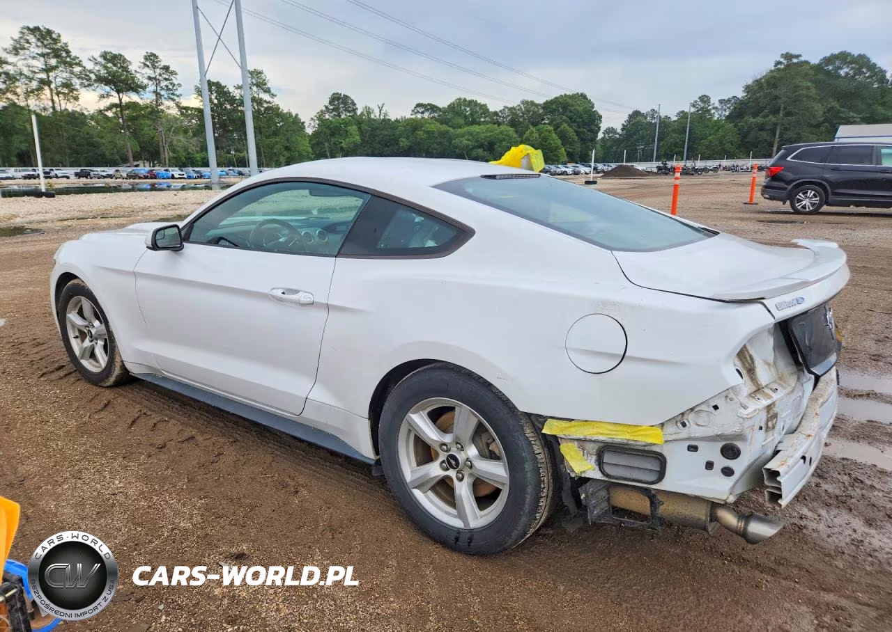 2017 Ford Mustang VIN:1FA6P8AM7H5342880 - 2