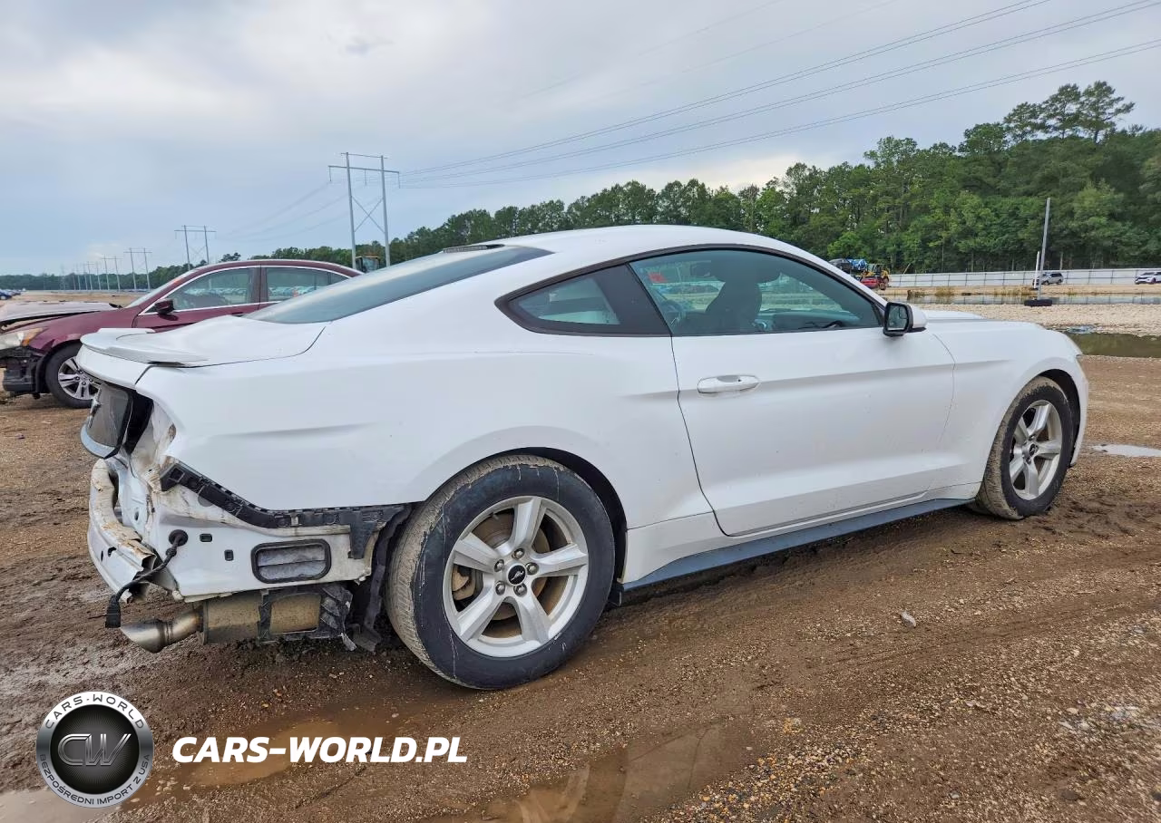 2017 Ford Mustang VIN:1FA6P8AM7H5342880 - 3