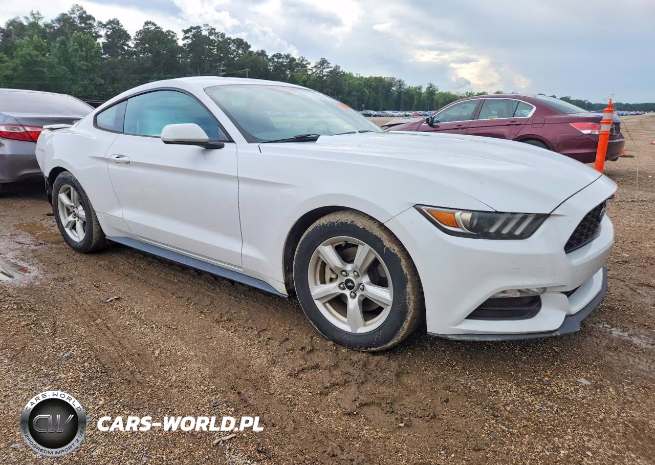 2017 Ford Mustang VIN:1FA6P8AM7H5342880 - 4