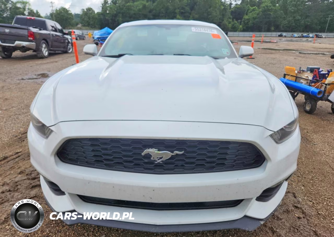 2017 Ford Mustang VIN:1FA6P8AM7H5342880 - 5