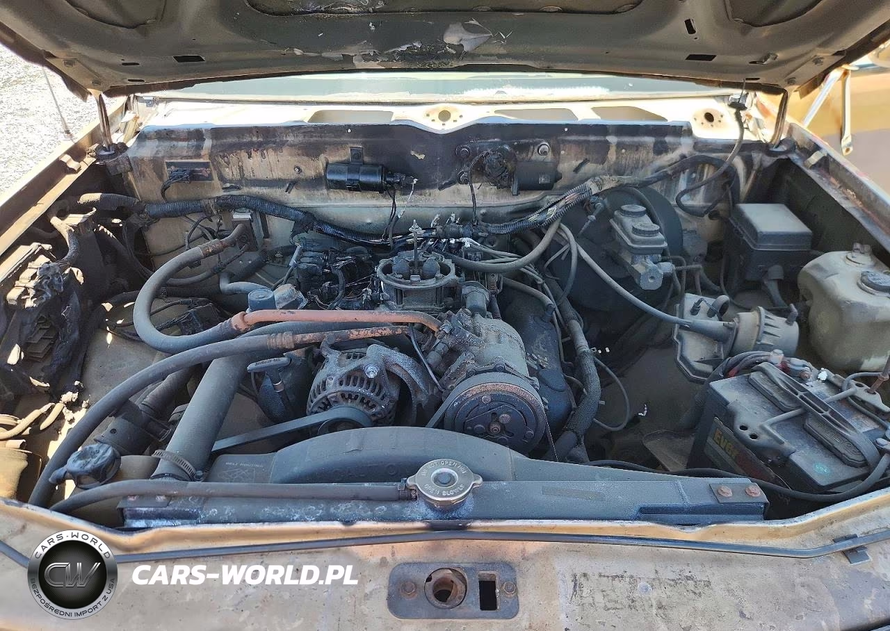 1991 Dodge Dakota VIN:1B7GL26Y8MS254872 - 11