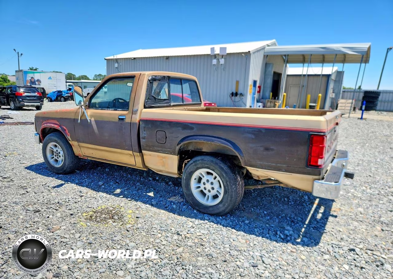 1991 Dodge Dakota VIN:1B7GL26Y8MS254872 - 2