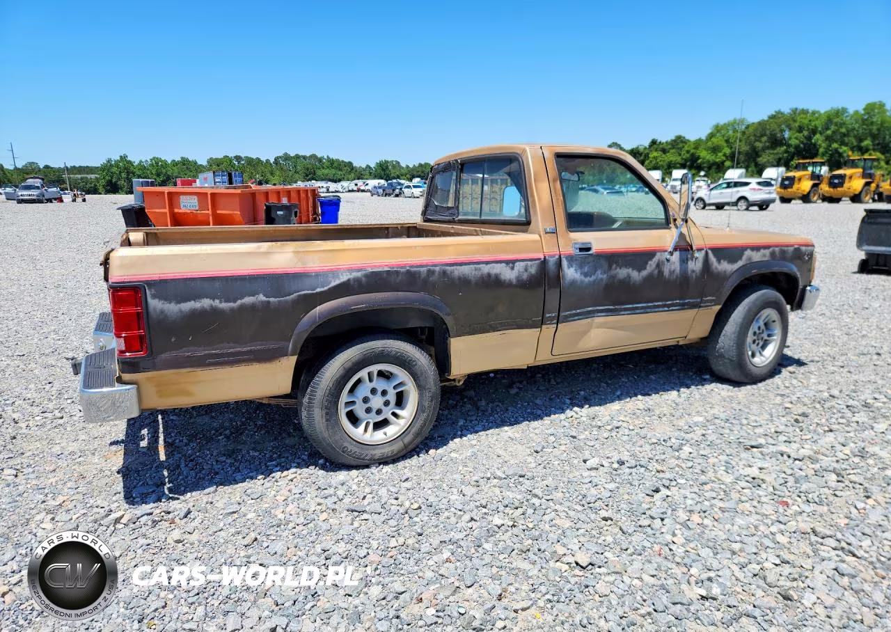 1991 Dodge Dakota VIN:1B7GL26Y8MS254872 - 3