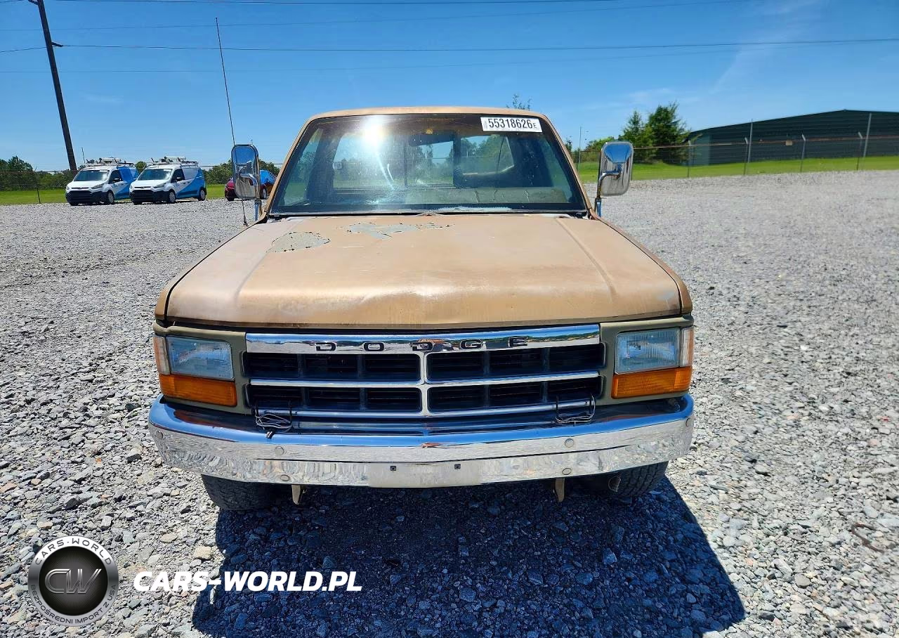 1991 Dodge Dakota VIN:1B7GL26Y8MS254872 - 5
