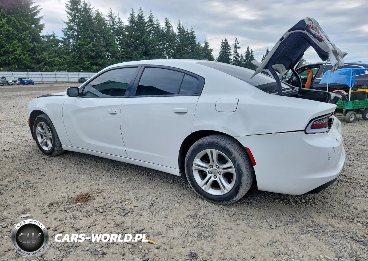 2020 Dodge Charger Sxt VIN:2C3CDXBG4LH116410 - 2
