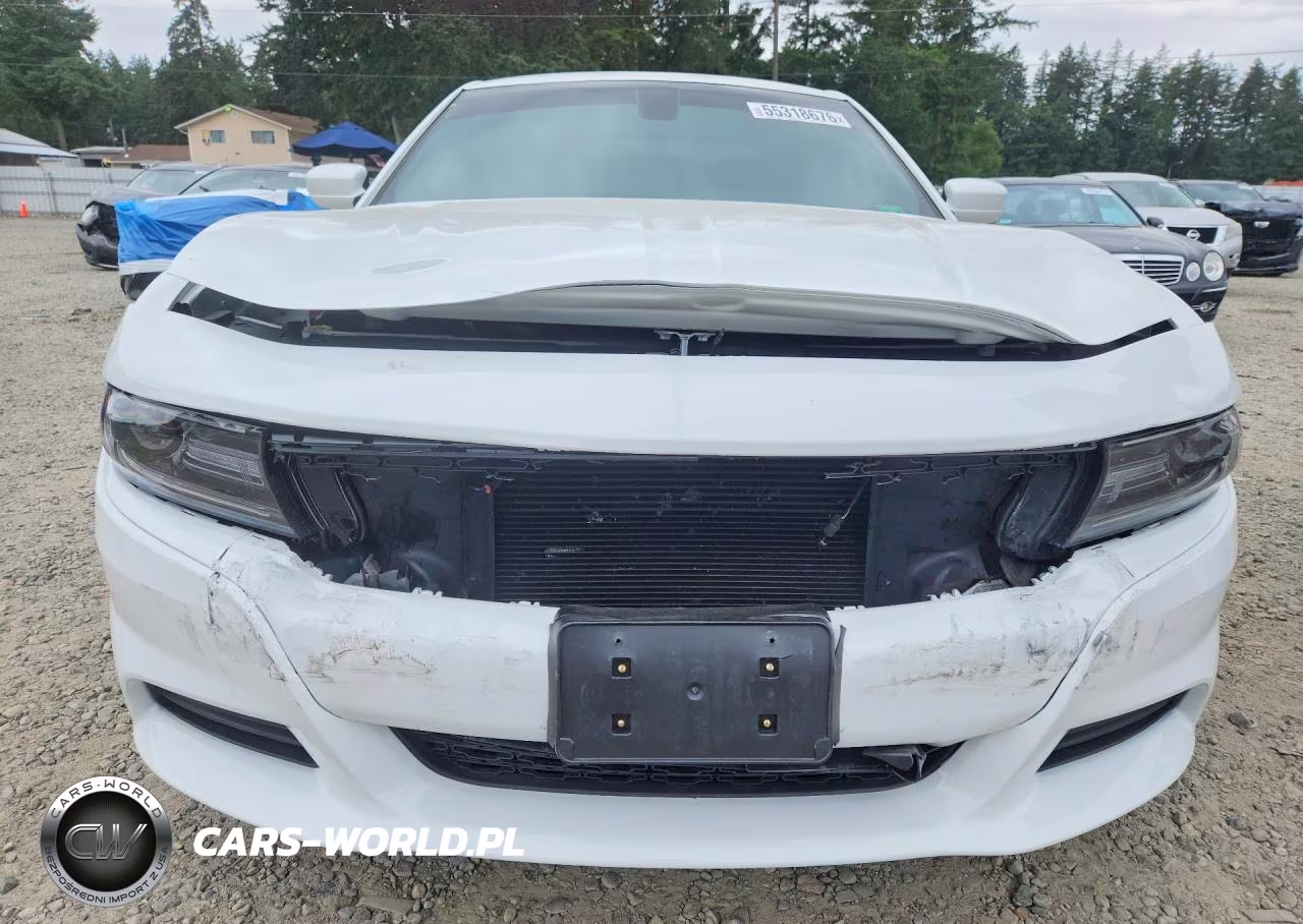 2020 Dodge Charger Sxt VIN:2C3CDXBG4LH116410 - 5