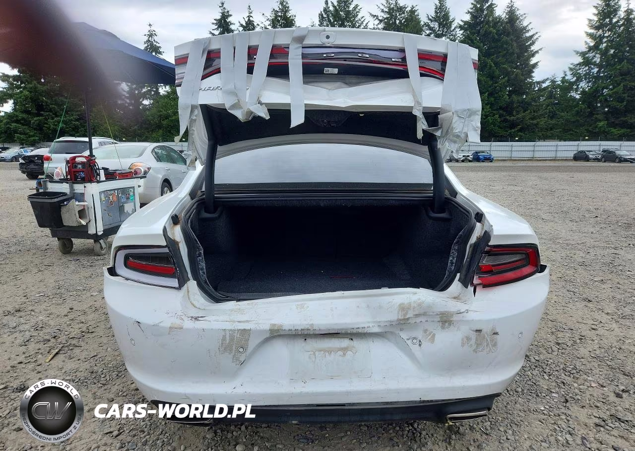 2020 Dodge Charger Sxt VIN:2C3CDXBG4LH116410 - 6