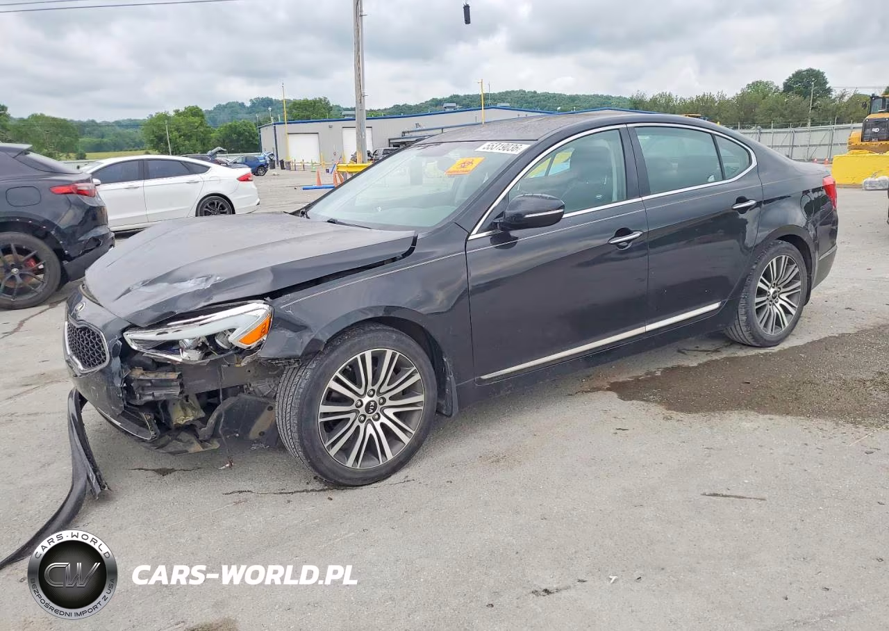 2014 Kia Cadenza