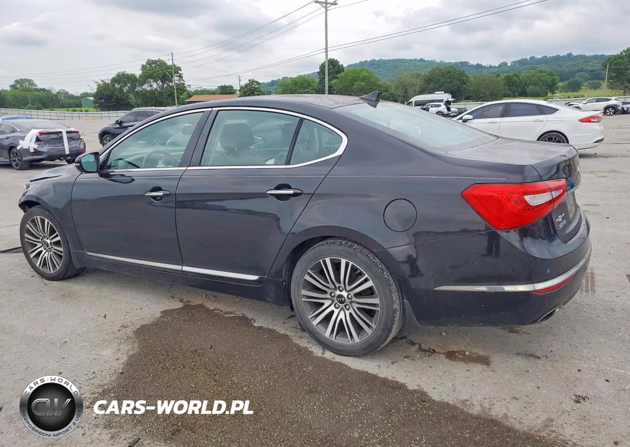 2014 Kia Cadenza VIN:KNALN4D7XE5145339 - 2