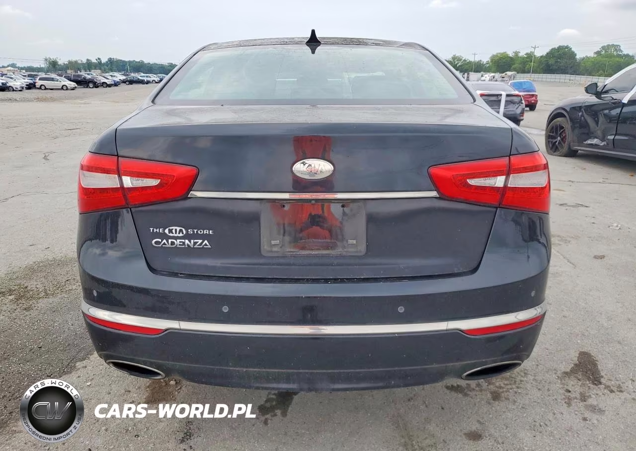 2014 Kia Cadenza VIN:KNALN4D7XE5145339 - 6
