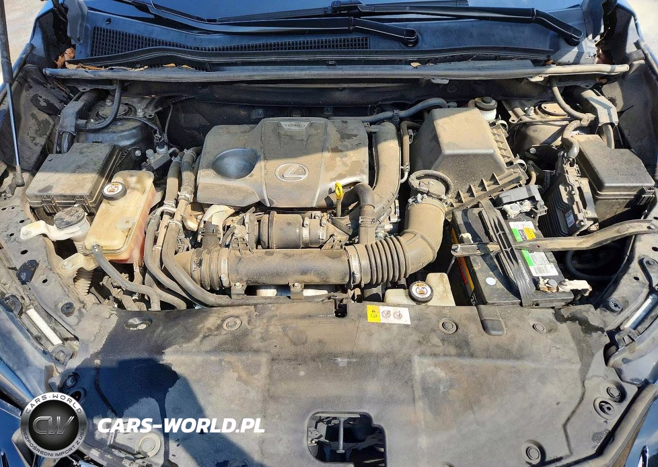 2019 Lexus Nx 300 F Sport VIN:JTJYARBZ4K2126916 - 12