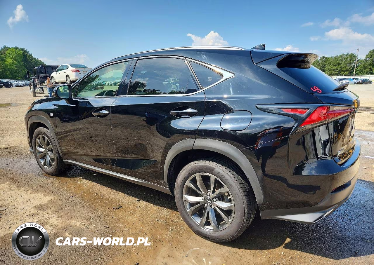2019 Lexus Nx 300 F Sport VIN:JTJYARBZ4K2126916 - 2