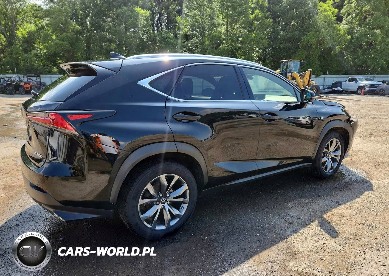2019 Lexus Nx 300 F Sport VIN:JTJYARBZ4K2126916 - 3