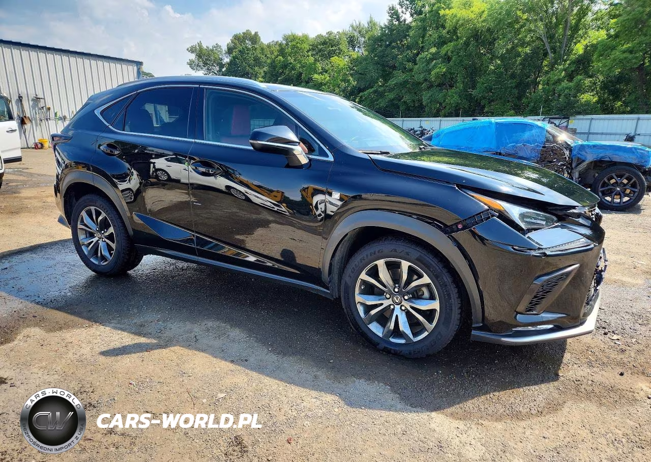 2019 Lexus Nx 300 F Sport VIN:JTJYARBZ4K2126916 - 4