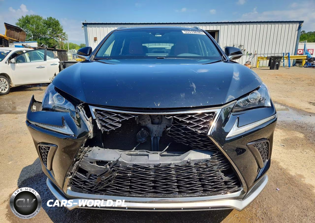 2019 Lexus Nx 300 F Sport VIN:JTJYARBZ4K2126916 - 5
