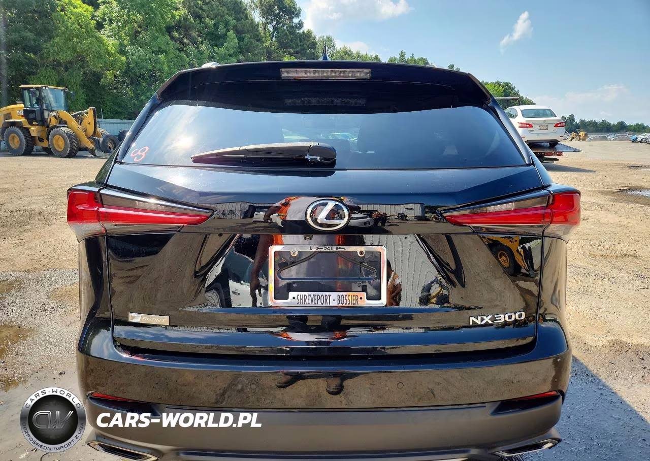 2019 Lexus Nx 300 F Sport VIN:JTJYARBZ4K2126916 - 6