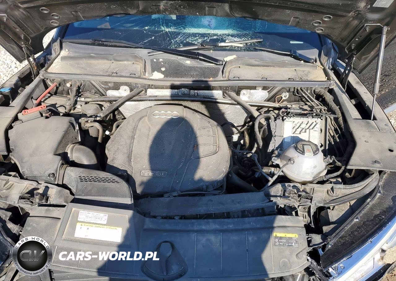 2019 Audi Q5 Premium Plus VIN:WA1BNAFY4K2095175 - 12