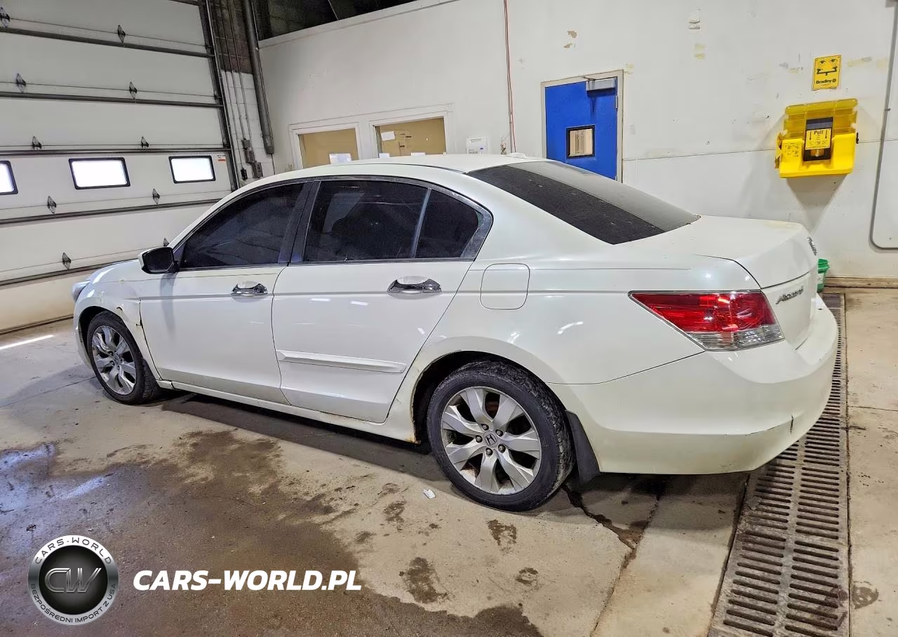 2010 Honda Accord Exl VIN:1HGCP3F85AA014562 - 2