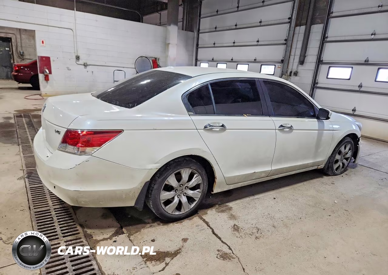 2010 Honda Accord Exl VIN:1HGCP3F85AA014562 - 3