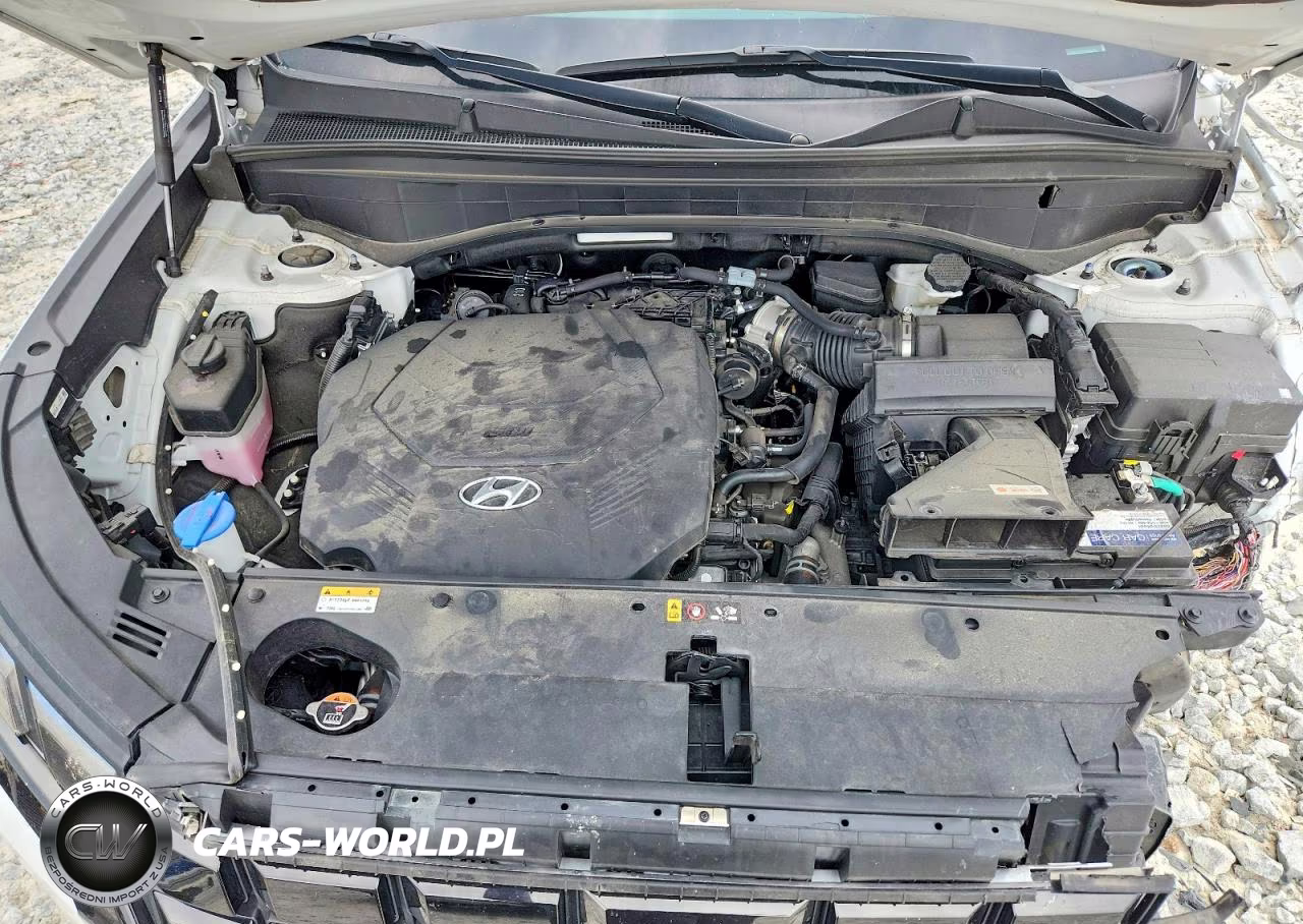 2024 Hyundai Palisade Xrt VIN:KM8R34GE5RU685685 - 12