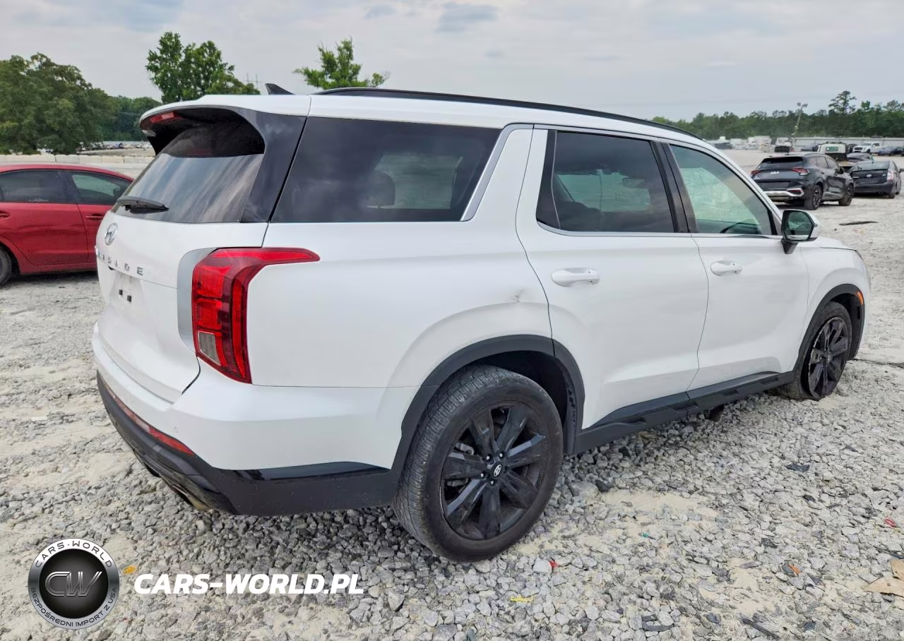 2024 Hyundai Palisade Xrt VIN:KM8R34GE5RU685685 - 3