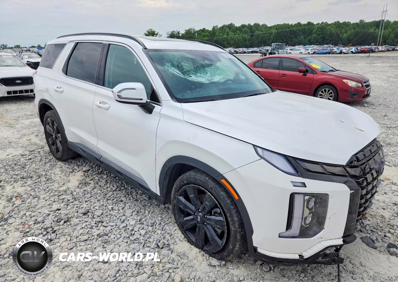 2024 Hyundai Palisade Xrt VIN:KM8R34GE5RU685685 - 4