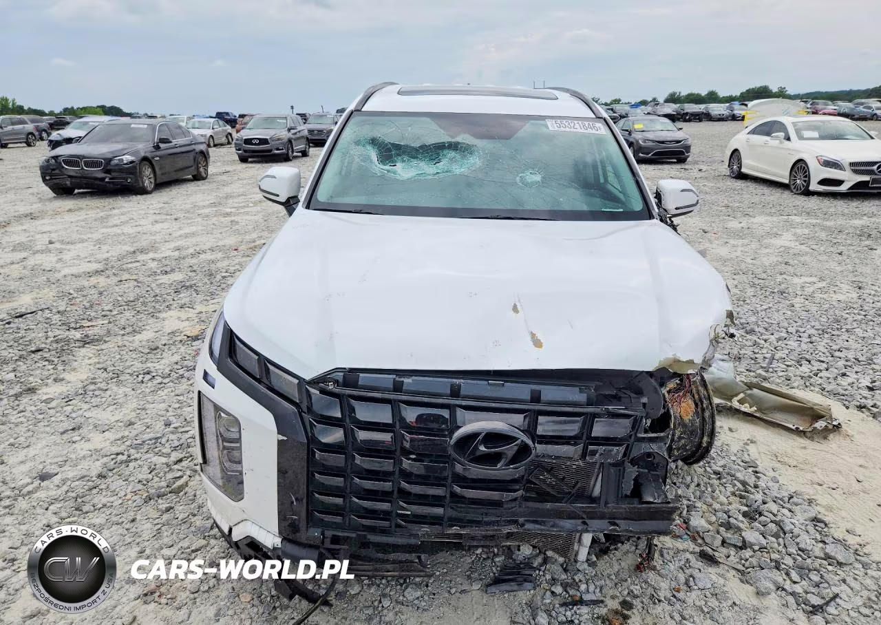 2024 Hyundai Palisade Xrt VIN:KM8R34GE5RU685685 - 5