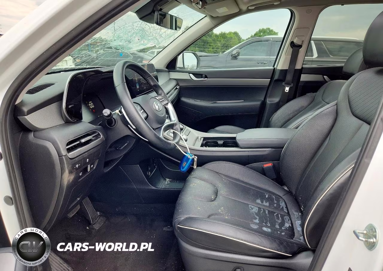 2024 Hyundai Palisade Xrt VIN:KM8R34GE5RU685685 - 7