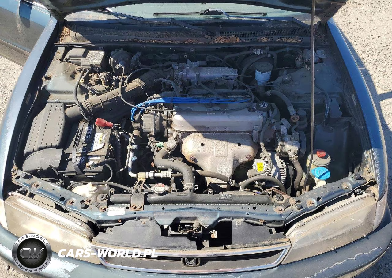1996 Honda Accord Lx VIN:1HGCD5636TA161727 - 11