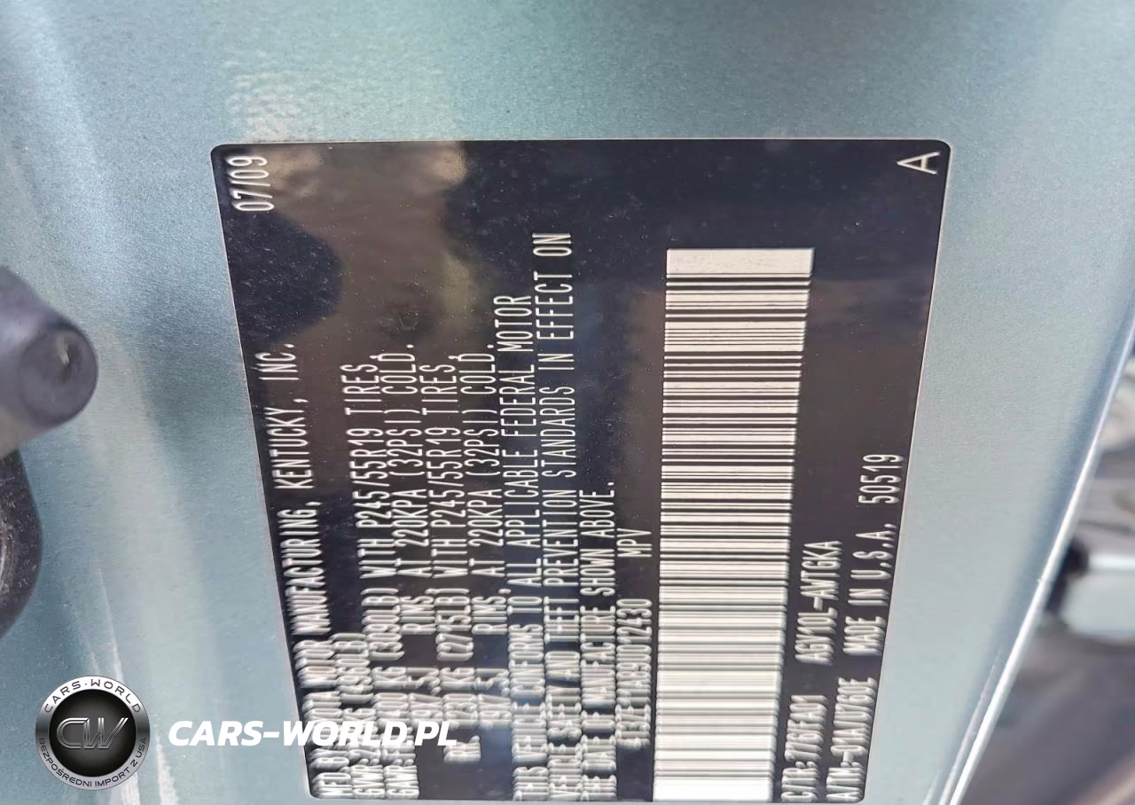 2009 Toyota Venza VIN:4T3ZE11A89U012430 - 13